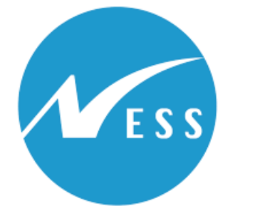 NESS Technologies logo